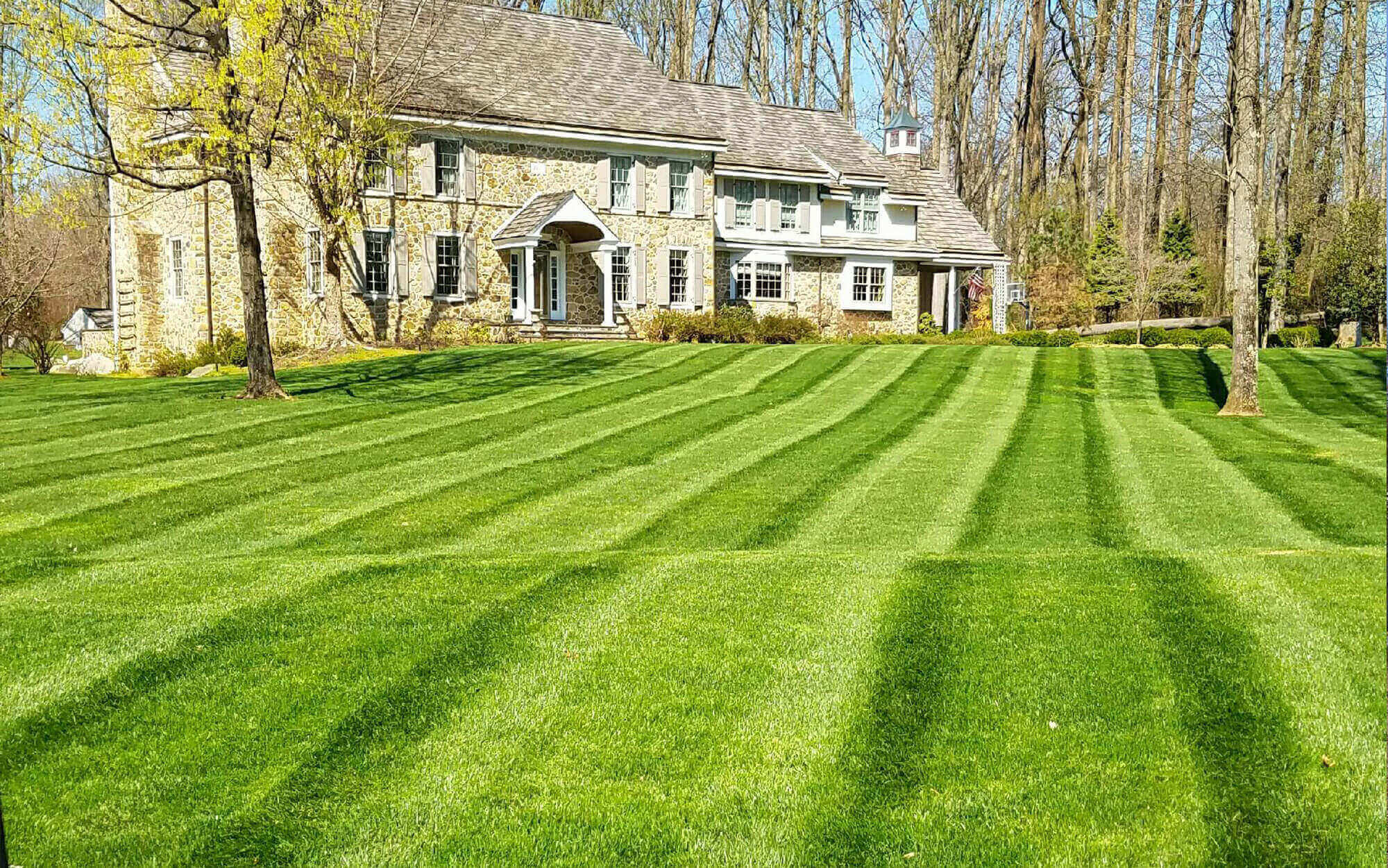 Chester County Landscaper
